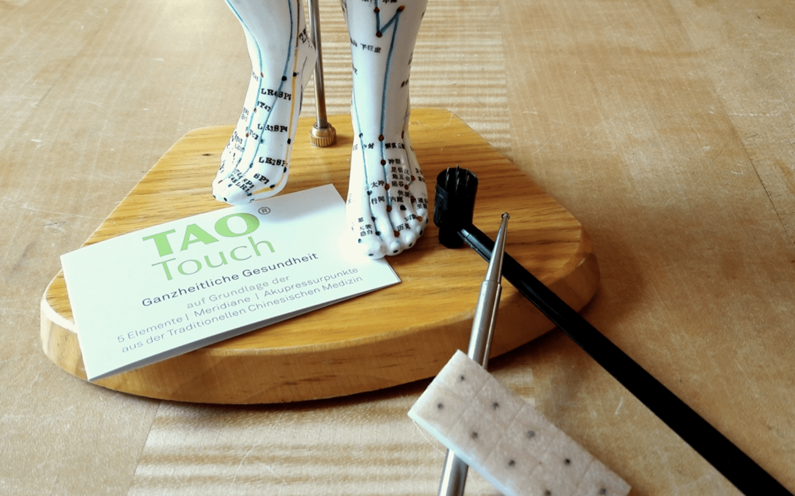 Akupressur einfach lernen an einem Fußmodell mit Meridianpunkten
