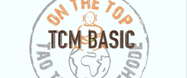 TCM Basics screenshot